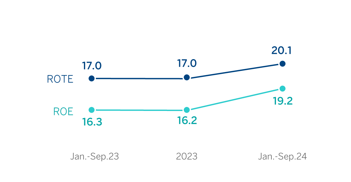 Chart. ROE & ROTE