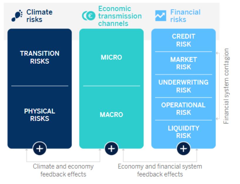 Management of risks associated with climate change - Accionistas e ...